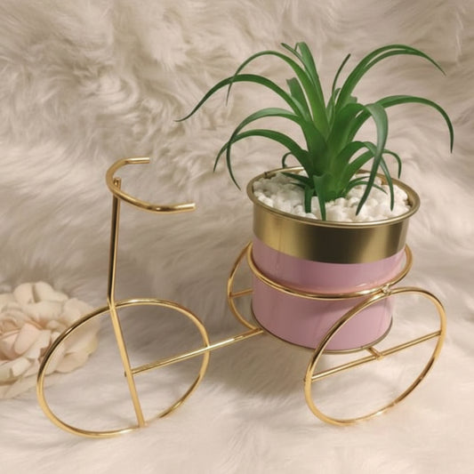 Decorative plant stand shaped like a bicycle with a small potted plant on a textured surface.