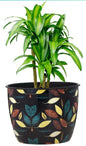 Designer Metal Planter with Printed Leaves – Multicolour (15 cm)