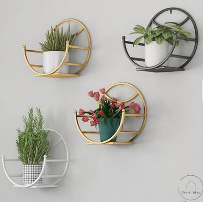 Set of four wall-mounted planters with plants on a light gray background