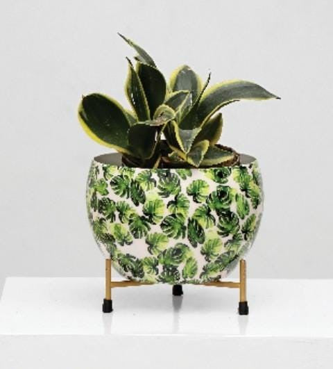 Designer Metal Bowl Planter with Golden Stand – 8x8 Inch Multicolour Printed
