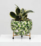 Designer Metal Bowl Planter with Golden Stand – 8x8 Inch Multicolour Printed