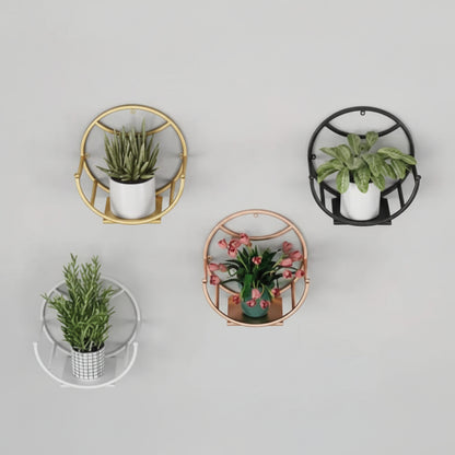 Set of four round wall shelves with plants on a light gray background