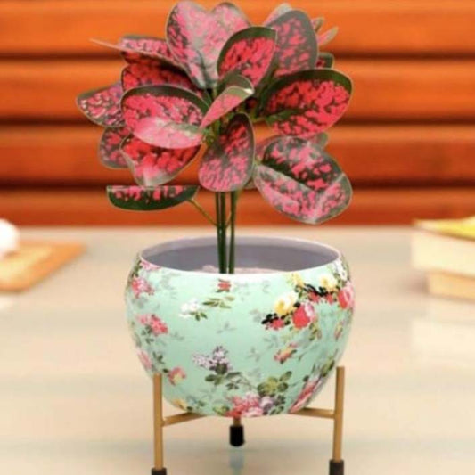 Designer Metal Bowl Planter with Golden Stand – Multi Colour (6×6 Inch)