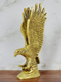 Golden Brass Eagle with Spread Wings
