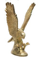Brass Eagle Showpiece