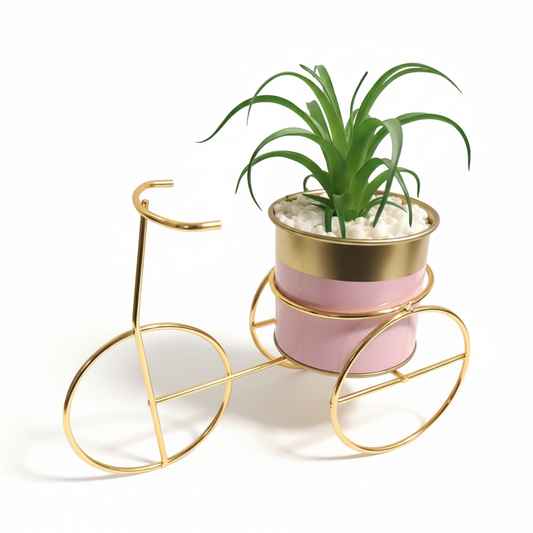 Pink bicycle planter with a green plant on a white background