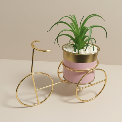 Pink bicycle-shaped planter with a green plant on a beige background