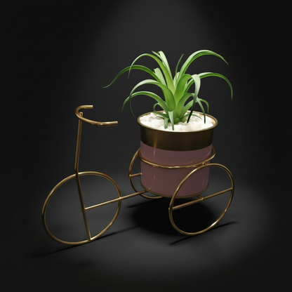 Decorative plant holder shaped like a bicycle on a dark background