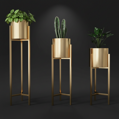 Three gold planters with plants on a dark background