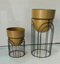 Black Stand with Golden Pot – 12 Inch Modern Metal Planter