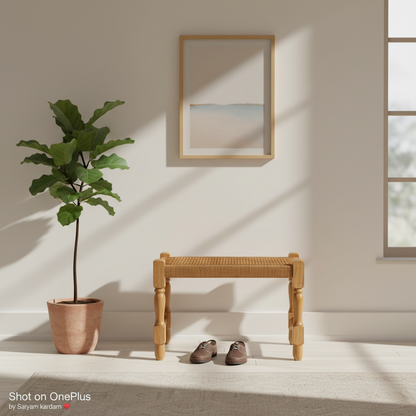 Minimalist interior with a plant, wooden bench, and shoes on a light floor.